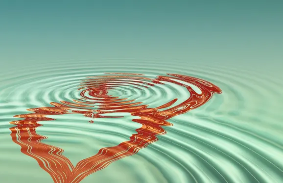 라즈벳 카지노 지원